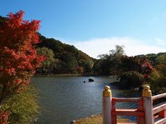 東日本大震災に耐え　白水阿弥陀堂ご無事で　美しい紅葉を見せてくれました−２