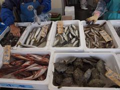 横浜八景島シーパラダイス近くの柴漁港直売所で、獲れたての江戸前の活魚や鮮魚を購入。　２０１１年１１月