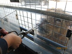 群馬サファリパーク　～ワクドキ体験～