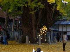 県北ドライブ～三段峡・筒賀大歳神社～