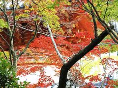 Solitary Journey ［966］ 三滝の観音さんも紅葉状況は×…それなりに色づいた葉っぱを切り撮ってきました。＜三滝寺＞広島市西区