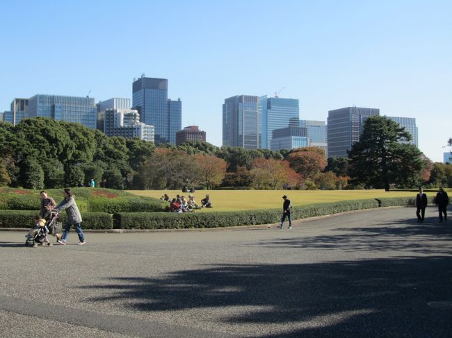 １１月１６日、昼の間、需要家訪問の序に久しぶりに晩秋の東御苑を訪問した。<br />晩秋ならでわの山野草や花木が見られるとともに澄み切った天気の下に美しい本丸跡の芝生園や丸の内の高層ビル群が見られた。<br /><br />ここでは次のように二部に分けてまとめる。<br />①大手門～中の御門～本丸跡<br />②本丸跡～汐見坂～二の丸庭園～大手門<br /><br /><br />＊写真は本丸跡から見られる丸の内の高層ビル群