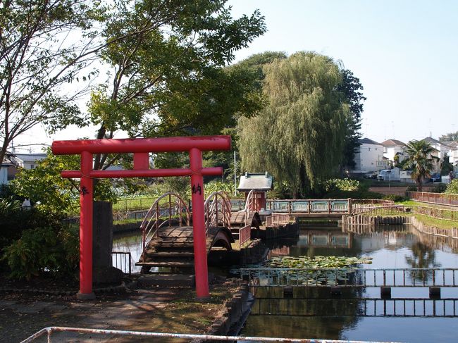 　東京都東村山市の弁天池公園に鎮座する出世弁才天女宮は縁起や由来は見付からなかったが、文政7年（1824年）に創建されたともいわれているようだ。そうだとすれば、江戸後期に流行った弁才天信仰によるものであろう。弁天池に架かる二連の太鼓橋を渡ったところに赤い鳥居と小さな社殿がある。<br />　境内にある社叢の社（もり）には樹齢700年のケヤキと600年のカヤがあるという。そのこんもりした社（もり）に目を引かれた。弁天池よりも社叢の社（もり）が際立つ弁才天だ。<br />（表紙写真は出世弁才天女宮）