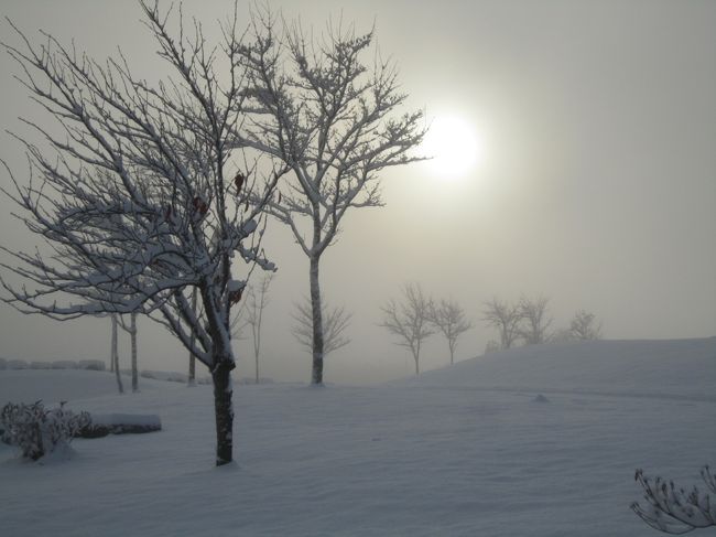 朝起きて、カーテンをシャァ――ッと開けると<br /><br />　　　　　わぁおぅ！！！<br /><br /><br />昨日の晴天から、一気に雪が積もっていました〜〜<br /><br />今シーズンの初冠雪♪<br /><br /><br />北海道はいよいよ真っ白な世界になりましたよ(*^_^*)