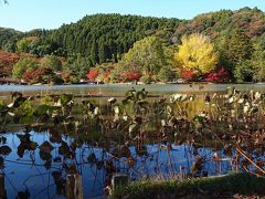 東日本大震災に耐え　白水阿弥陀堂ご無事で　美しい紅葉を見せてくれました−３