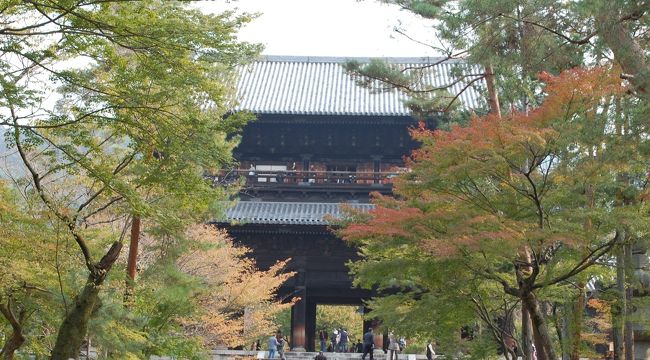 秋の京都へ行ってきました。今回のテーマは、絵画鑑賞と「半兵衛麩」のはずでしたが、京都市美術館の月曜休みをスッカリ忘れていて、南禅寺・永観堂と「半兵衛麩」に変更しました。やはり今年の紅葉は遅れていて、南禅寺・永観堂でも少し色付き始めたところですが、逆に人が少なかったことでゆっくり見てまわることができました。