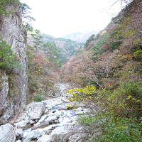 なんだかへんだぞ今年の紅葉