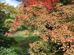 京都の御所と離宮(6)　仙洞御所，京都御苑の秋景