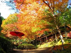 秋色の京都へ②～スイーツも秋模様＆西明寺