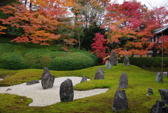 紅葉といえば東福寺というくらい名所といえるその東福寺をスルーして<br />塔頭の光明院へ<br /><br />普段は静かなこちらも口コミで広がったせいか、あるいは報道ステーションで放映された為か、例年よりも人が多いような気がしましたが、彩りを添えて美しくなった波心庭をゆっくり拝見させて頂きました。<br /><br />いつもはお玄関の竹筒に志納金を入れるのですが、この時期だけは受付を通って拝観します。<br /><br />立札は健在、皆さんお行儀よく楽しんでいらっしゃいました〜<br /><br />拝観料　300円<br /><br />昨年アップする時間がなくてお蔵入りしていた分ですが、今年は紅葉が遅れていることもあり、これからご計画をお立てになる方に、少しでもお役に立てばと思い、遅ればせではありますがアップ致しました。