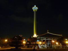 2011 ◎初めての釜山旅行 1-（1）１日目 釜山タワーと夜景