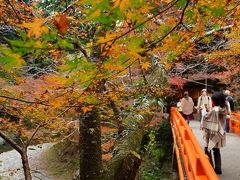 京都 2011 紅葉を見に　二日目　西明寺