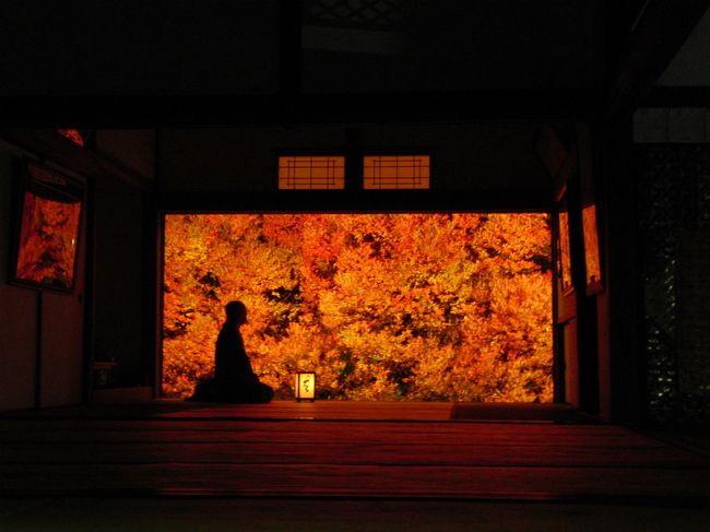 雨が降る中でしたが豊岡に行ってきました。<br /><br />真っ赤に燃える安国寺のドウダンツツジ。<br />１枚の絵画のような芸術的な景色。<br /><br />和尚さんのシルエットはまさにアート。<br /><br />但東シルクロード観光協会　http://www.tantosilk.gr.jp/<br />但熊　http://www.eonet.ne.jp/~tankuma/<br />フルーツアイランド百果園　http://t-lion.com/member/hyakkaen/index.html