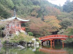 2011秋の京都小旅行