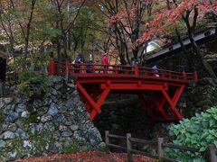 ２０１１・晩秋・雨の横藏寺＆おまけのおちょぼさんで食べ歩き