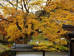 京都 2011 紅葉を見に 二日目　常照皇寺
