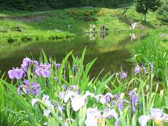 JR駅からハイキング「可憐な高山植物の宝庫　アルプの里ハイキングを満喫」