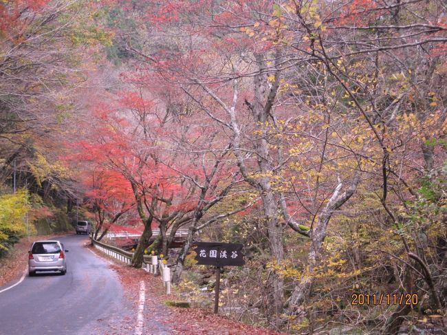 竜神峡→筑波山と巡ったちょびれが行く、茨城紅葉巡り、本日は北茨城の山間に広がる花園渓谷まで足を延ばして<br />みました♪あいにくのお天気→予報ではピーカンだったはず・・でしたが、川沿いに広がる美しい紅葉とちょっとだけ<br />ハイキングのような山登りのような〜そして、お約束のお蕎麦を堪能してきました〜<br />コメントは最小限で、暫し紅葉の美しさを楽しんで頂ければ・・・<br />と思います^^