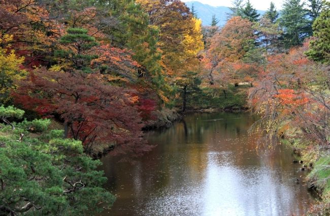 　上田城跡公園は真田幸村の父、昌幸が築いた城跡である。<br />　今年NHK大河ドラマ「江」の中で、秀忠は真田昌幸、幸村親子が護る上田城を攻めたが落ちず、関ヶ原合戦に遅参し大失態を演じるシーンが放映された。近年多くのドラマに上田城が登場するようになり、上田城跡公園の催しものに観光客の増加している。<br />　春は真田祭り、秋はけやき並木の紅葉のイベントが行われるが、今年も多くの観光客が団体で押し寄せている。<br />　現在上田市、真田の郷を中心にNHkに対して、大河ドラマで真田３代について放映するよう署名活動をして働きかけている。<br />　真田の家紋「六文銭」にちなみ６６６，６６６人を目標に展開しており、最近の実数は把握していないが、５月ごろすでに４００，０００人を突破している。<br />すでに40万人分の署名簿はNHKに届けられ、NHKの心証はいいと聞いているが、はたしてどうなるか。おおいに期待をしているのだが。<br />　今年各地の欅の紅葉は異変が起きているらしい。上田城跡公園の欅並木は順当に紅葉したように思われたが、茶褐色から落葉するはずが次第に黒ずみ、丸まった状態で落葉せず、現在も枝に残り、欅全体が黒い。<br />確かに欅の紅葉は異常である。<br />　上田城跡公園では欅のほか銀杏の大木がある。銀杏は木によって紅葉がずれる。種類によるものか、銀杏にはオス、メスの木があるのでそれによるものかわからないが、紅葉を愛でる期間が続く。<br />　写真は1月ほどかけて撮影した。<br />　<br />　<br />　