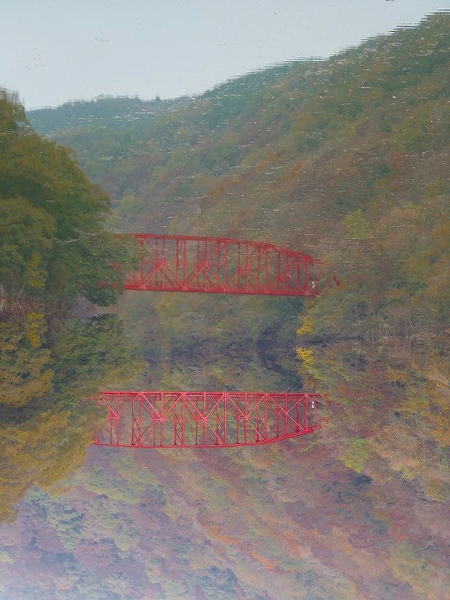 帝釈峡のある庄原市東城町へは数年ぶりです。紅葉の季節に来たのは初めてかも知れません。<br /><br />日本5大名峡の一つ国定公園帝釈峡は、東城町、神石高原町にまたがり南北約20Kmにわたる大峡谷。 この地方に発達しているカルスト台地が帝釈川によって侵食されてできた峡谷で、世界三大橋の一つとして知られる日本一の天然橋「雄橋」(国天然記念物)、白雲洞に代表される鍾乳洞、急流の断魚渓、岩柱、滝などの奇勝奇岩で有名。1924(大正13)年、帝釈川をせきとめて造った神竜湖の水面に新緑、紅葉の色が鮮やかに映じ、断崖絶壁を見上げながらの船遊びはまるで絵の中にいるよう。 上帝釈、永明寺から神竜湖乗船場までの約4㎞のハイキングコースは、春は桜、つつじ、ふじなどが咲き乱れ、夏はひんやり避暑気分、秋には岩山に生えている原生林が見事に紅葉し、あたり一面が紅に染まる。秋の遊歩道は、春とは違ってまた格別で、緑のトンネルが今度は鮮やかな&quot;紅のトンネル&quot;へと変化する。最近8,000～10,000年前の古代住居跡と考えられる遺跡や人骨が発掘され考古学上でも貴重な地域となった。