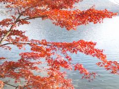 今年も紅葉狩りは伊香保