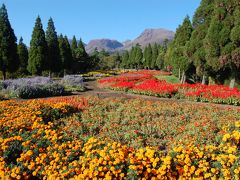 九州北部ドライブ1000キロ　４日目後半　久住高原　くじゅう花公園、九重”夢”大吊橋