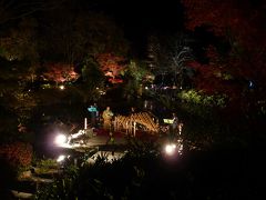 弥生の森歴史公園◆滋賀県野洲市で紅葉ライトアップの穴場をハシゴ【第一弾】