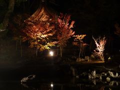 兵主大社庭園◆滋賀県野洲市で紅葉ライトアップの穴場をハシゴ【第二弾】