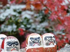 ２０11年！今年も紅葉の季節がやって来た！第２弾は勝尾寺＝☆