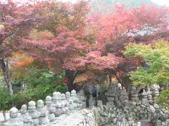 京都嵐山まったり紅葉狩り