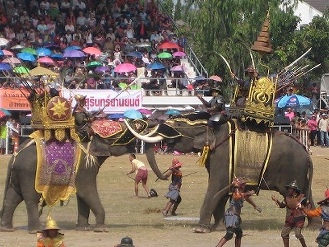 　スリンの象祭りはタイの三大祭りのひとつと言われるほど大きなイベントで、全国から象と象使いが故郷のイサン（タイ東北部）に帰省して、象乗りやパレード、ショーなどで私たちを楽しませてくれます。<br />　今年は11月19日（土）20日（日）開催され19日に見物しました。ちょうどバンコクの洪水でタイに行くか行かないかで迷いましたが、洪水がアユタヤからバンコク方面でイサーン（タイ東北地方）やチェンマイな影響無しを確認して、バンコクに入らずスワンナプーム空港から車でコラートまで行きました。<br /><br />最後は王同士の決戦で象のきばをからめての戦いでアヤタヤ軍が勝ったのでしょう<br />タイのグルメ<br />http://4travel.jp/traveler/abcqmasa/album/10624173/<br />コラートの市場<br />http://4travel.jp/traveler/abcqmasa/album/10623962/<br />