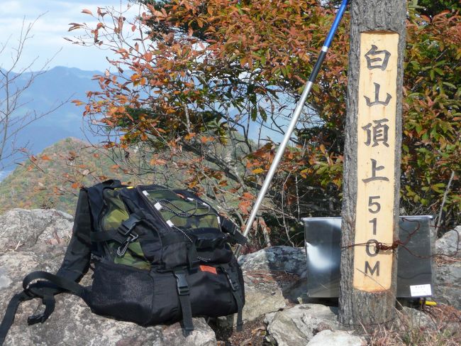 早朝から雲海を見に行こうと思い立ち、西脇方面に出かけていく。<br />西脇市は播州織が有名で、織物関係の会社とか家内工場が多くあった。<br />西脇から175号線を北に走ると和牛で有名な黒田庄という町がある。<br />畑瀬橋を渡るとJR加古川線に突き当たり、黒田庄駅の北の信号を東に行くと、東播磨日時計の丘公園とか、東はりまフォルクスガーデンがある。<br />南に少し行くと日本へそ公園がある。<br />このあたりは、のどかな田園地帯である。<br />フォルクスガーデンの横の細い道を北に上がっていくと、秋谷池の駐車場に突き当たる。<br />白山へは今回で3度目で、この時期になると来て見たくなる山である。<br /><br />