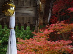 2011 京都紅葉だより?−3　亀岡・鍬山神社へ