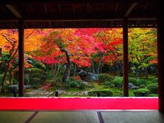 ２０１１　１泊２日で京都の紅葉を楽しむ　其の１　圓光寺