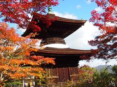 ２０１１　１泊２日で京都の紅葉を楽しむ　其の２　天龍寺・宝厳院・常寂光寺