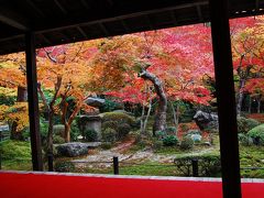 京都　紅葉を愛でる　洛北編