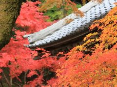 滋賀の紅葉の旅　2　～永源寺～