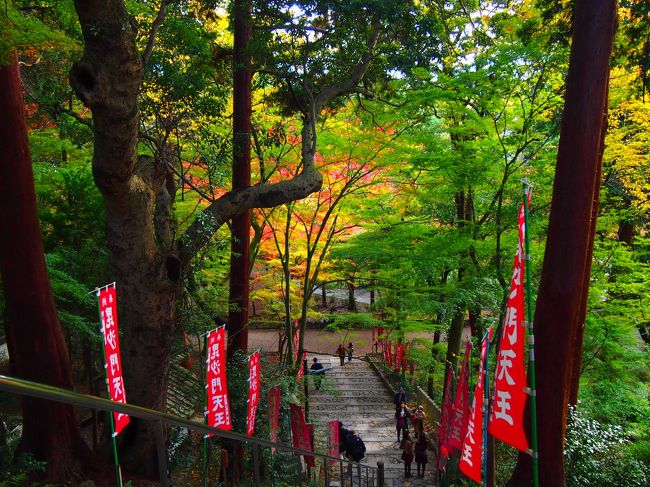 一年の中で紅葉の見頃といわれる時期はほんの一瞬。<br /><br />その、一番の見頃の時期を狙ってもわずか２,３日のずれで綺麗な紅葉を見ることができなかったり・・<br /><br />実際、今回の京都旅行は何ヶ月も前から予約をいれ、京都での寺院巡りのプランを立てていましたが、<br />暖かい日が多かったせいで紅葉も遅れ、最新の情報とにらめっこしながら前日に急遽プランを立て直すという事になりました。<br /><br />タイムリーな情報を発信してくださるトラベラーさんのおかげで今が旬！！の京都の紅葉を見ることができました♪<br />京都初心者ですが、１泊２日で思う存分京都を満喫してきました！！<br /><br />※この旅行記では２日目の★のマークの付いている部分です。<br /><br />１泊２日京都・奈良<br /><br />１日目<br />東京〜京都<br />圓光寺　<br />京都〜奈良<br />天極堂で葛きりのおやつ<br />奈良町　豆腐庵こんどうにて夕食<br />ホテル日航奈良<br /><br />奈良の絶品湯豆腐と、ホテル日航奈良はこちら<br />⇒http://4travel.jp/traveler/marcus_lion_coon/album/10623885<br /><br />２日目<br />奈良〜京都<br />天龍寺<br />宝厳院<br />常寂光寺<br />★南禅寺<br />★先斗町　ふじ田にてランチ<br />★祇園散策<br />★毘沙門堂<br />京都〜東京