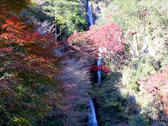 2011.11月 晩秋の一日、紅葉を見に行く。八百津～寂光院♪