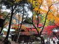 古刹名古屋の奥座敷とも言われる定光寺