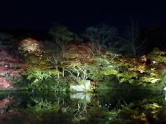 紅葉真っ盛りの武雄温泉１泊２日の旅【御船山楽園紅葉ライトアップ観賞編】（２０１１年１１月）