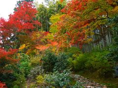 そうだ紅葉を見に京都に行こう・・・嵐山編