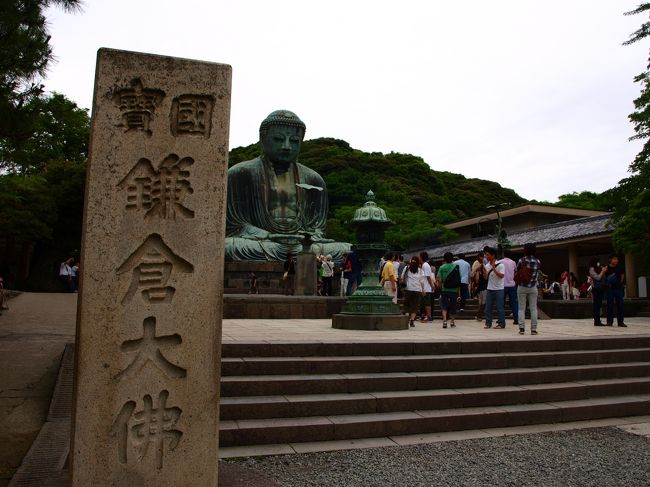 後編は銭洗弁天と鎌倉大仏を見にいきました<br />前編：梅雨の鎌倉散歩前編/円覚寺・明月院へあじさい散策<br />http://4travel.jp/traveler/musicphotoseasky/album/10584390/<br /><br />境内の洗い場でお金を洗い財布にしまっておくとお金がたまる、との言い伝えがあるので、しっかり洗ってきました^^;<br /><br />大仏は観光客も多くやっぱり鎌倉の顔、という印象です<br /><br />その後は長谷寺に行き、江の島の岩本楼本館で宿泊<br /><br />歩きましたが歴史に触れる事は新鮮で楽しいですね<br /><br /><br />金剛禅寺<br />↓<br />銭洗弁財天宇賀福神社<br />↓<br />高徳院<br />↓<br />長谷寺<br />↓<br />江の島へ移動<br />↓<br />岩本楼本館