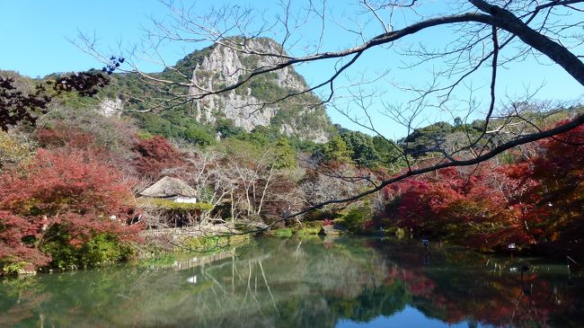 「御船山楽園」の紅葉まつりに行って来ました。<br /><br />２０１１年の紅葉まつりは、１２月４日（日）まで延長されました。今年の紅葉は若干遅れていて、園内の紅葉は８割～９割って感じなので、１２月上旬頃までは紅葉が楽しめるようです。<br /><br />この「御船山楽園」では沢山の写真を撮影したので、４編に分けて投稿させて頂きます。<br /><br />まずは、「御船山楽園の紅葉まつり編①」です。<br /><br />「御船山楽園」のＨＰ：http://www.mifuneyamarakuen.jp<br /><br />＝御船山楽園＝【国登録記念物（名勝関係）】<br /><br />第２８代武雄領主の鍋島茂義が約３年の歳月をかけて１８４５年に完成させた池泉回遊式庭園。今や年間１０万人が訪れる、佐賀の代表的な景勝地の一つです。しかし、この美しくて壮大な庭園が単なる殿様の道楽などではなく、自然を愛した粋人としての茂義の”想い”が込められていることは、あまり知られていません。<br /><br />（施設のパンフレットより引用）<br /><br /><br />なお、コメントは、一部を除いて省略させて頂きます。