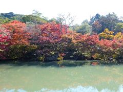 紅葉真っ盛りの武雄温泉１泊２日の旅【御船山楽園紅葉まつり編④】（２０１１年１１月）