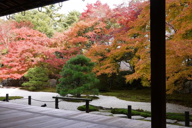 京都の二日目は東福寺、南禅寺、天授庵、永観堂、法然院、真如堂、金戒光明寺を回ります。<br /><br />写真は南禅寺「天授庵」です。