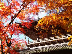湖東散策：紅葉の永源寺・近江八幡・彦根城をめぐる