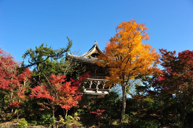紅葉狩りにはここは外せませんので今年も京都の紅葉狩り最初の場所にしましたが期待に答えてくれました。