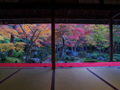 2011　京都紅葉だより３　圓光寺　彩り豊かな十牛の庭へ