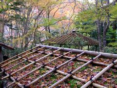 紅葉追いかけ京都に一人！？　-高山寺２０１１-